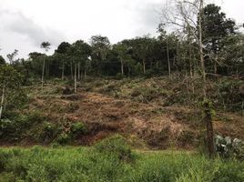  Terreno (Parcela) en venta en Bentong, Pahang, Bentong, Bentong