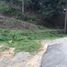  Terrain for sale in Bentong, Pahang, Bentong, Bentong