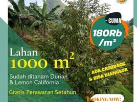  Land for sale in Bogor, West Jawa, Bogor Selatan, Bogor