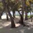 3 Bedroom Villa for sale in Puerto Morelos, Quintana Roo, Puerto Morelos
