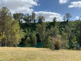  Villa zu verkaufen in Valdivia, Los Rios, Mariquina