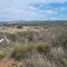 Terrain à vendre à Mexquitic De Carmona, San Luis Potosi, Mexquitic De Carmona