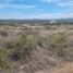 Terrain à vendre à Mexquitic De Carmona, San Luis Potosi, Mexquitic De Carmona