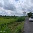  Land for sale in Yogyakarta, Sleman, Sleman, Yogyakarta