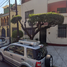 3 Schlafzimmer Villa zu verkaufen in Miguel Hidalgo, Mexico City, Miguel Hidalgo