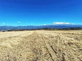  Grundstück zu verkaufen in Cocotitlan, Mexico, Cocotitlan