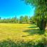  Land for sale in Isla De Maipo, Santiago, Isla De Maipo, Talagante