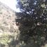  Terreno (Parcela) en venta en Chile, Paine, Maipo, Santiago, Chile