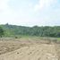  Land for sale in Yogyakarta, Pengasih, Kulon Progo, Yogyakarta