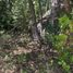  Terreno (Parcela) en venta en Maule, Linares, Linares, Maule