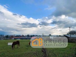  Terreno (Parcela) en venta en Los Ríos, Futrono, Ranco, Los Ríos