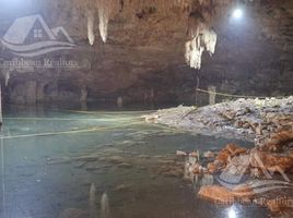  Grundstück zu verkaufen in Celestun, Yucatan, Celestun