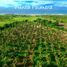  Land for sale in Dist Pochutla, Oaxaca, Dist Pochutla