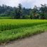  Land for sale in Purwakarta, West Jawa, Purwakarta, Purwakarta