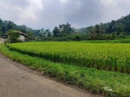  Land for sale in Purwakarta, West Jawa, Purwakarta, Purwakarta