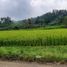  Land for sale in Purwakarta, West Jawa, Purwakarta, Purwakarta