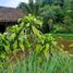  Land for sale in Purwakarta, West Jawa, Purwakarta, Purwakarta