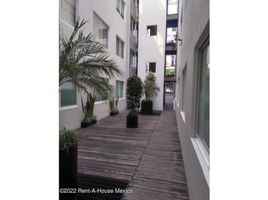 2 Habitación Departamento en alquiler en Naucalpan De Juarez, México, Naucalpan De Juarez, México, México
