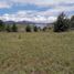  Land for sale in Amacueca, Jalisco, Amacueca