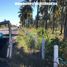  Land for sale in Mazatlan, Sinaloa, Mazatlan, Sinaloa
