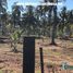  Land for sale in Mazatlan, Sinaloa, Mazatlan, Sinaloa