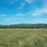  Land for sale in Chui, Rio Grande do Sul, Chui, Chui