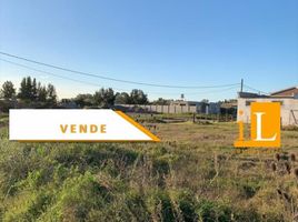  Terreno (Parcela) en venta en Brandsen, Buenos Aires, Brandsen