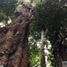 Terreno (Parcela) en venta en Los Ríos, Futrono, Ranco, Los Ríos