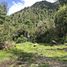  Terreno (Parcela) en venta en Los Ríos, Futrono, Ranco, Los Ríos