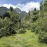  Terreno (Parcela) en venta en Los Ríos, Futrono, Ranco, Los Ríos