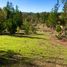  Terreno (Parcela) en venta en Maule, Cauquenes, Cauquenes, Maule