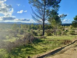  Terreno (Parcela) en venta en Maule, Cauquenes, Cauquenes, Maule