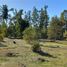  Terreno (Parcela) en venta en Maule, Cauquenes, Cauquenes, Maule