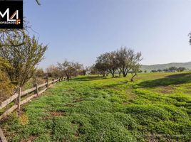  Terreno (Parcela) en venta en Chacabuco, Santiago, Colina, Chacabuco