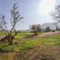  Terreno (Parcela) en venta en Chacabuco, Santiago, Colina, Chacabuco