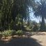  Land for sale in Maipo Santiago, Paine, Maipo, Santiago, Chile