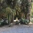  Land for sale in Maipo Santiago, Paine, Maipo, Santiago, Chile