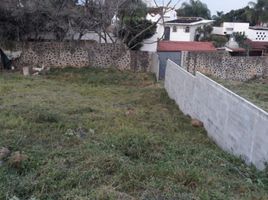  Grundstück zu verkaufen in Cuernavaca, Morelos, Cuernavaca