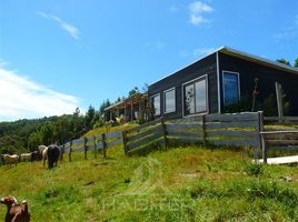 4 Habitación Casa en venta en Los Ríos, Mariquina, Valdivia, Los Ríos