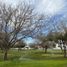  Land for sale in Matamoros, Coahuila, Matamoros