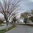  Land for sale in Matamoros, Coahuila, Matamoros