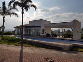 Terrain à vendre à Villa De Reyes, San Luis Potosi, Villa De Reyes