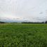  Terreno (Parcela) en venta en Maipo, Santiago, Paine, Maipo