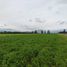  Terreno (Parcela) en venta en Maipo, Santiago, Paine, Maipo