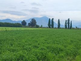  Terreno (Parcela) en venta en Maipo, Santiago, Paine, Maipo