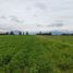  Terreno (Parcela) en venta en Maipo, Santiago, Paine, Maipo