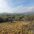  Land for sale in Santiago, Santiago, Santiago, Santiago