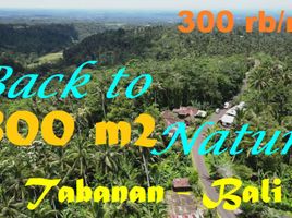  Land for sale in Penebel, Tabanan, Penebel