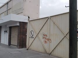 在Coahuila出租的开间 屋, Saltillo, Coahuila