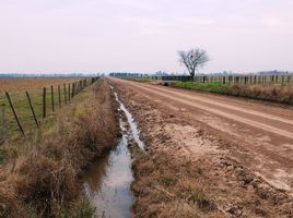  Terrain for sale in San Lorenzo, Santa Fe, San Lorenzo